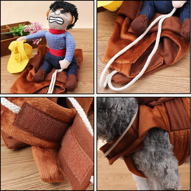 Funny & Creative Pet Outfits