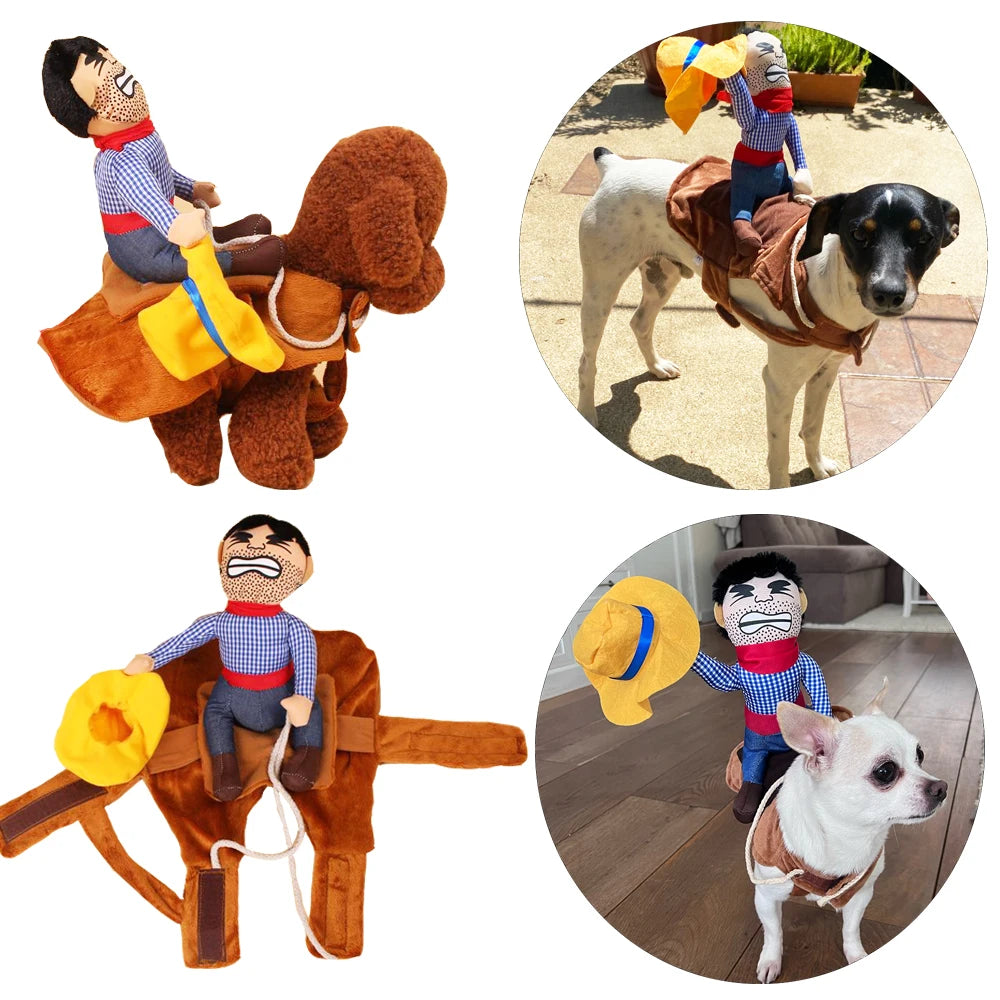 Funny & Creative Pet  Outfits