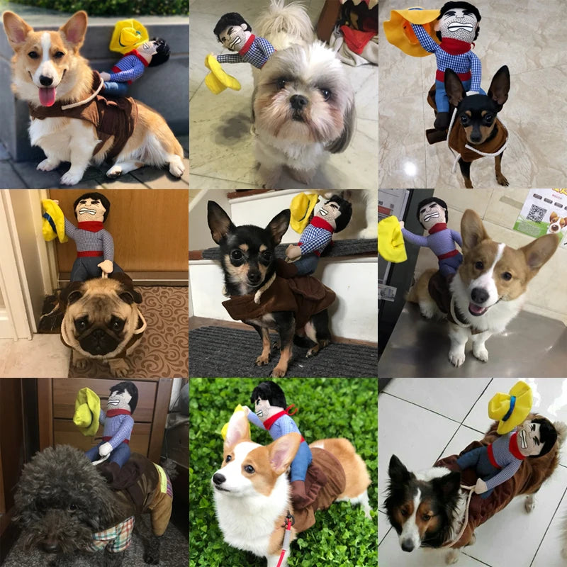 Funny & Creative Pet  Outfits